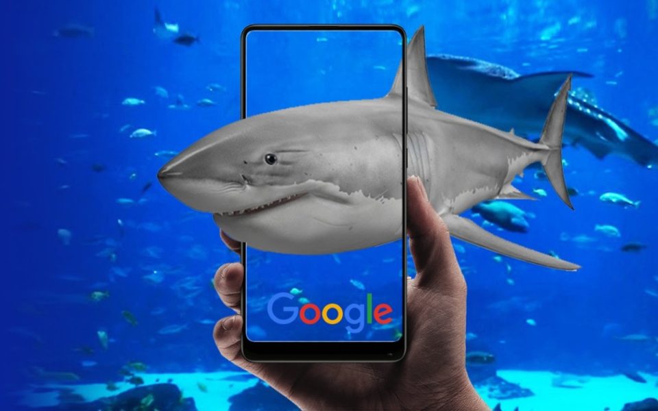 A Realidade Aumentada chegou à Google com animais em 3D - 4gnews